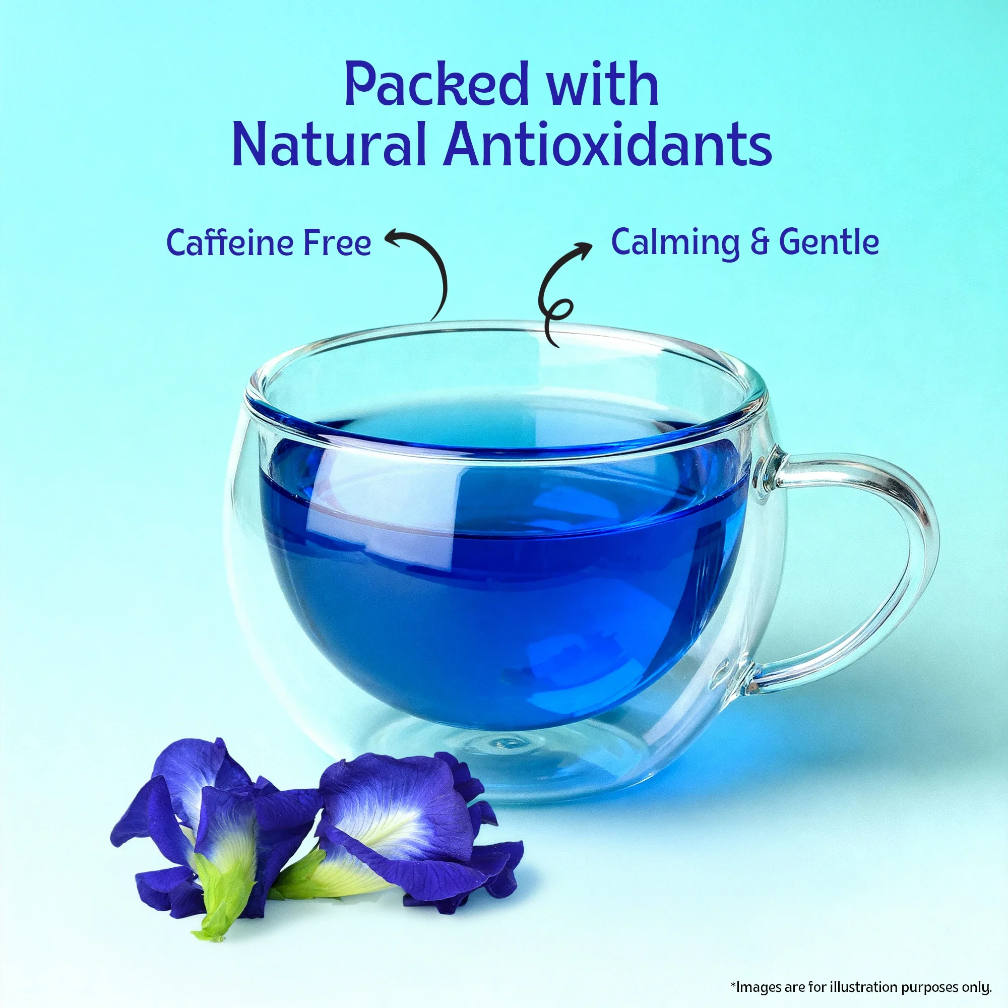 Assorted Herbals - Image 9